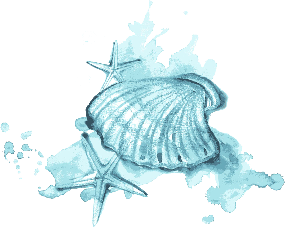 Painting Illustration Blue - Watercolor Painting On Shells Galaxy Clipart (1000x794), Png Download