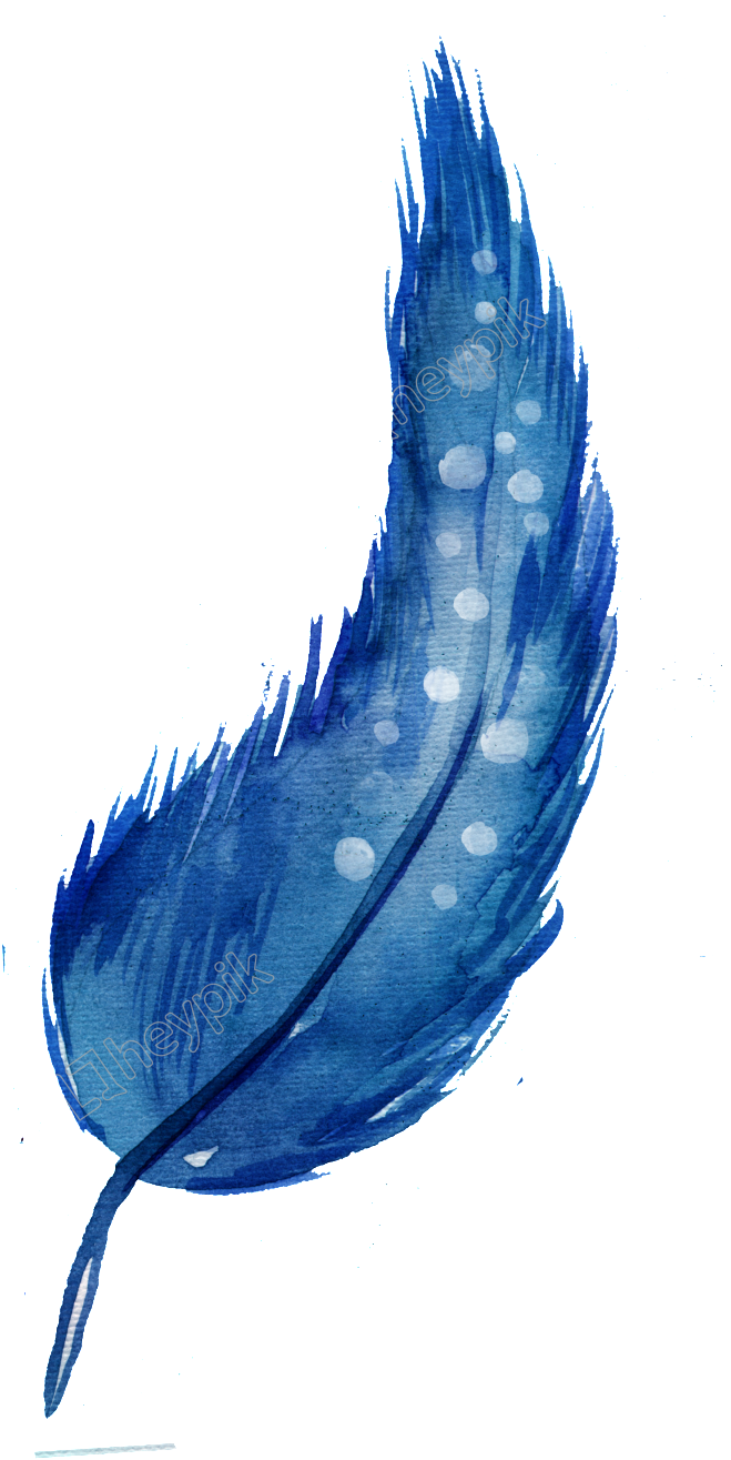 Blue Feather Png - Feather Clipart (1024x1314), Png Download