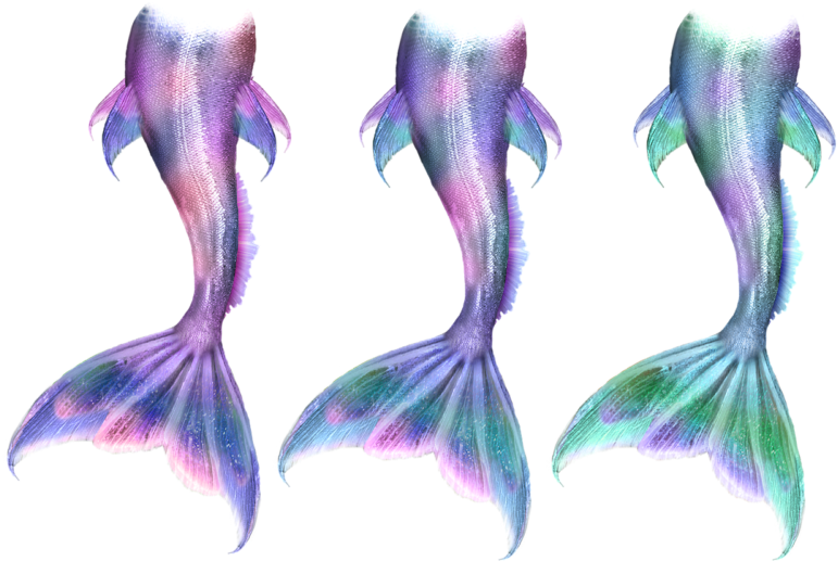 Mermaid Tail Drawing Png Clipart (800x531), Png Download