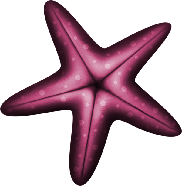 Starfish, Clip Art, Pictures - Estrella De Mar Morada Png Transparent Png (600x615), Png Download
