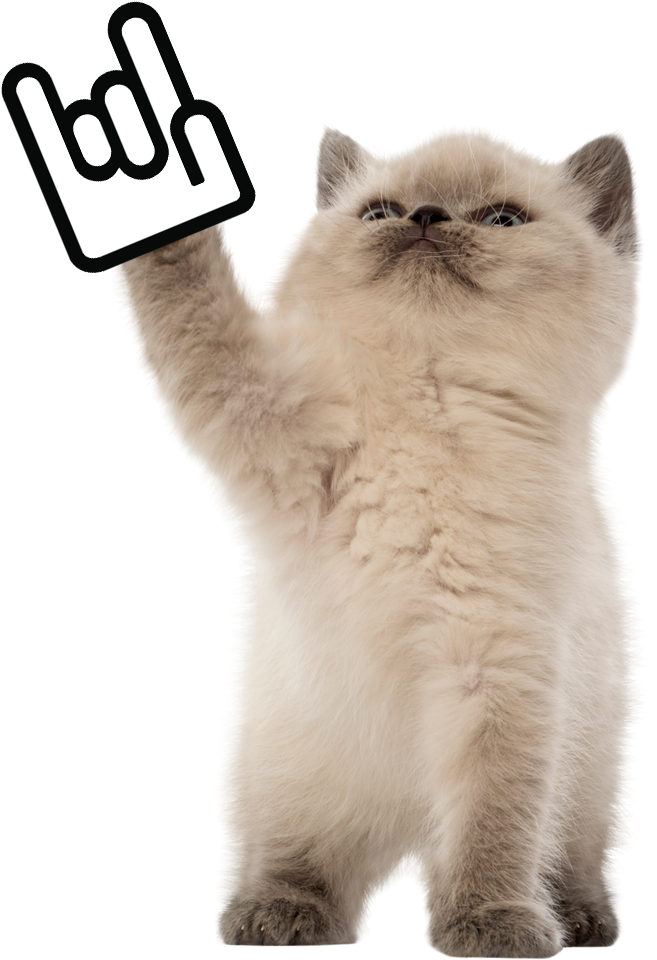 Todd Taiwan Startup Stadium Rock Kitten , Png Download - Cat Clipart (657x960), Png Download