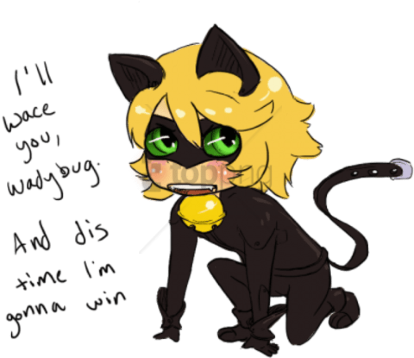 Free Png Download Miraculous Kitten Noir Png Images - Cartoon Clipart (850x735), Png Download