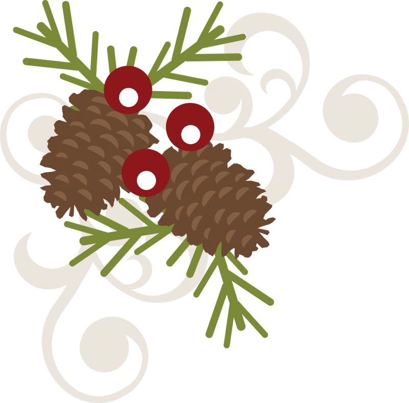 Clipart Black And White Stock Pinecone Berry Swirl - Berries And Pine Cone Clipart - Png Download (800x788), Png Download