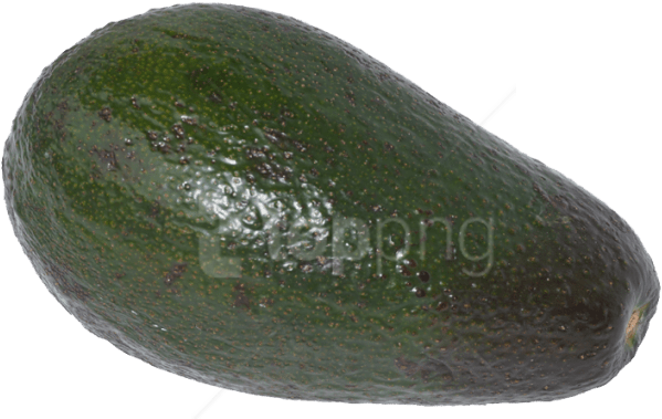Download Avocado Png Images Background - Zucchini Clipart (850x565), Png Download