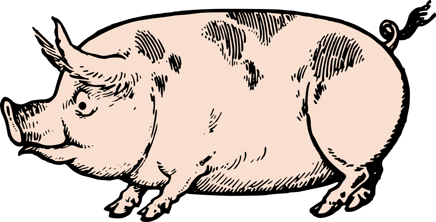 Cute Vintage Pig Clip Art Amp Stock Vector Oh So Nifty - Vintage Pig Clip Art - Png Download (1500x766), Png Download