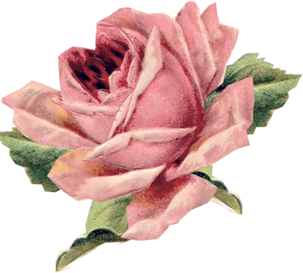 Vintage Rose Scrap More - Vintage Rose Postcard Clipart (612x553), Png Download