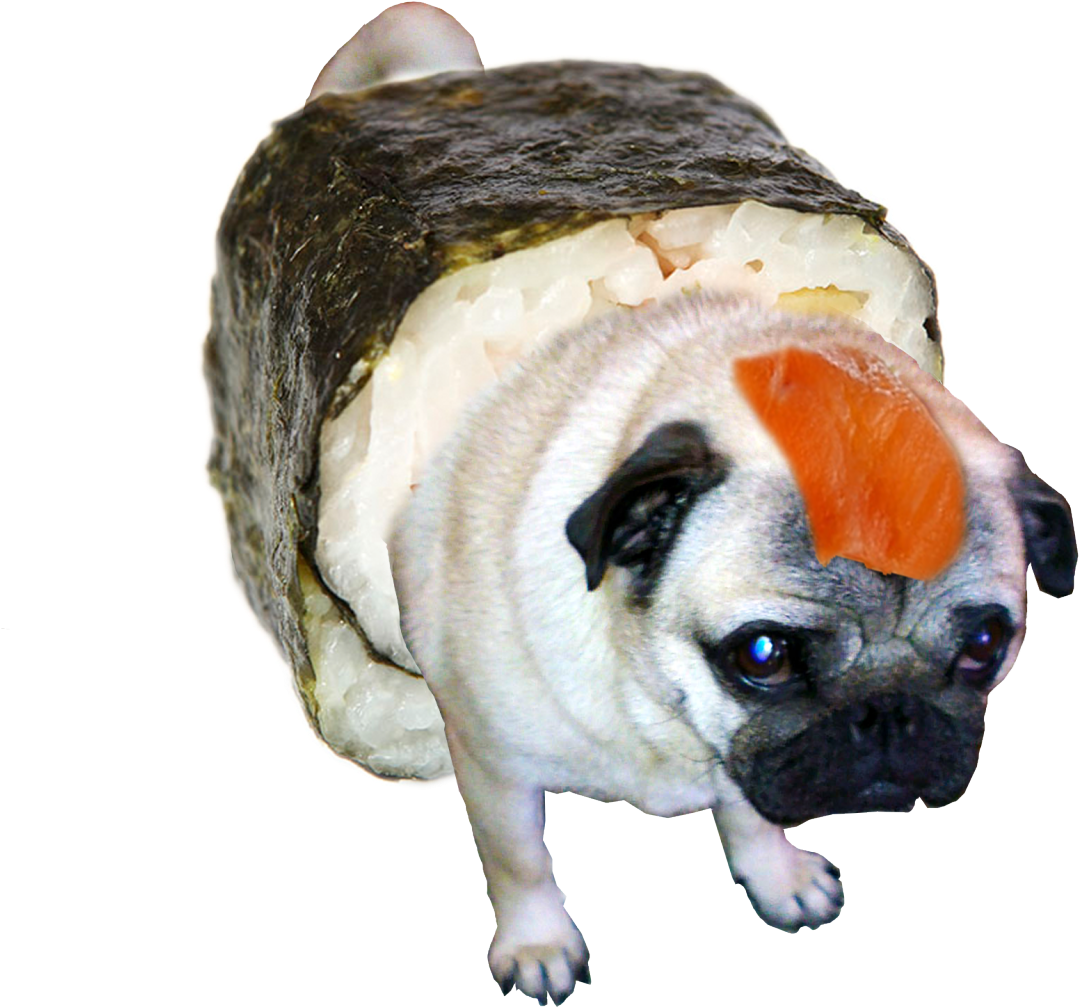 “sushi Pug ” Clipart (1280x1213), Png Download