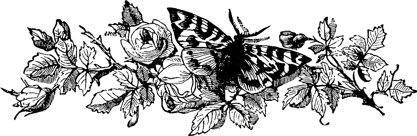 Vintage Flower Clipart Black And White - Vintage Flower Png Black Transparent Png (1510x531), Png Download