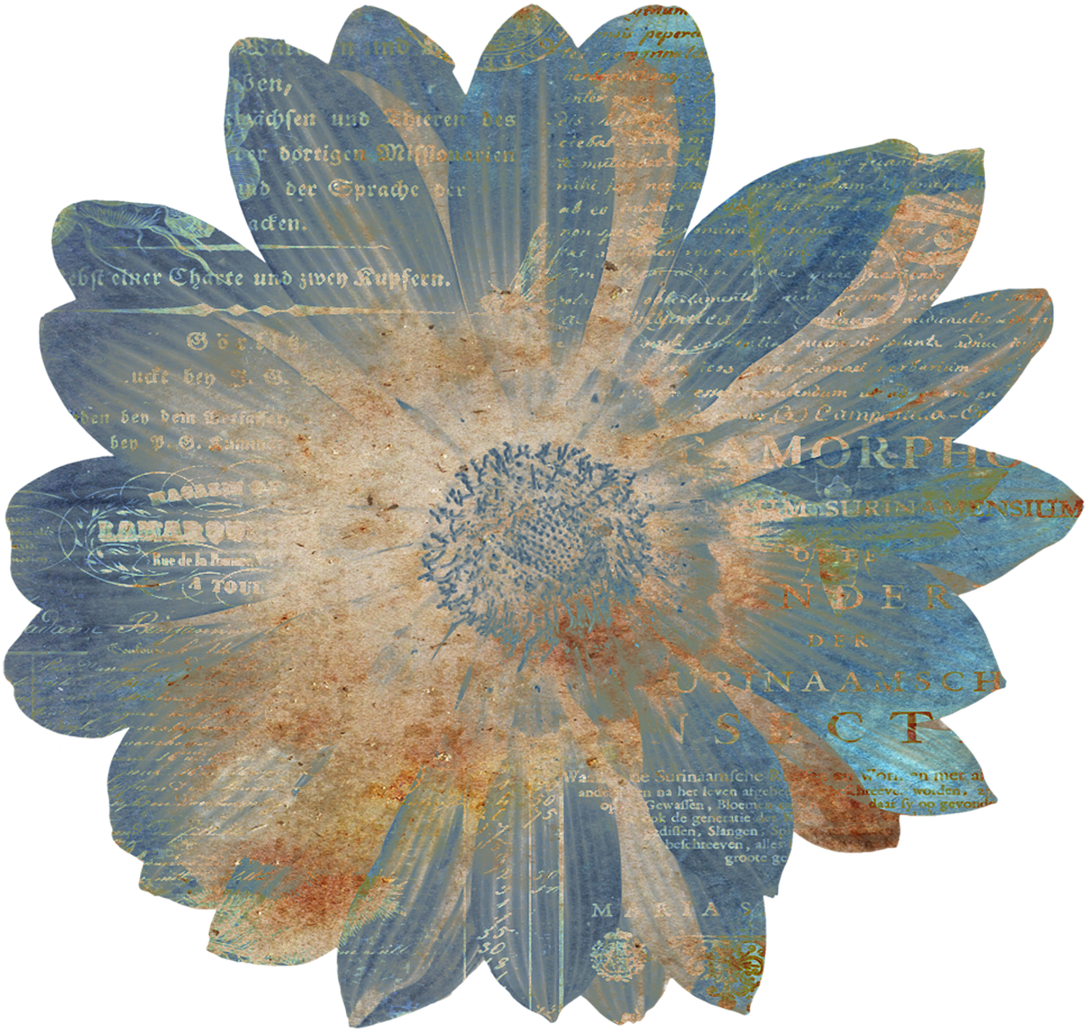 Flower Vintage Ephemera Overlay Png Image - Rustic Clipart Transparent Background (1280x1280), Png Download
