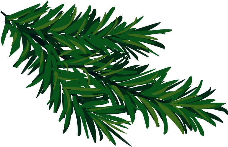 Christmas Tree Branch, Download To Your Desktop Makayla - Yew Family Clipart (1100x800), Png Download