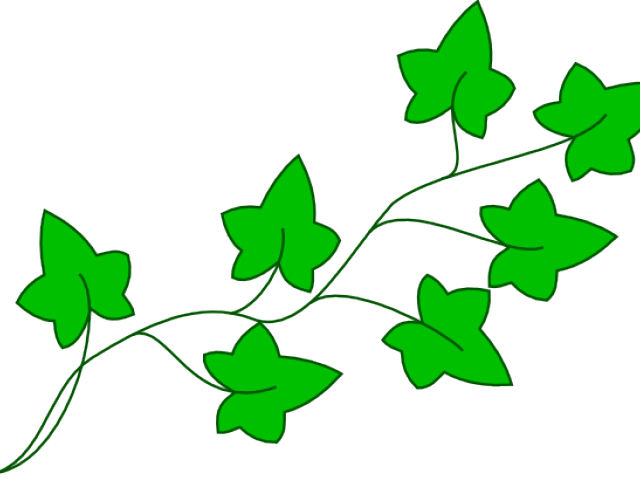 Vine Clipart Cartoon - Cartoon Poison Ivy Plant - Png Download (640x480), Png Download