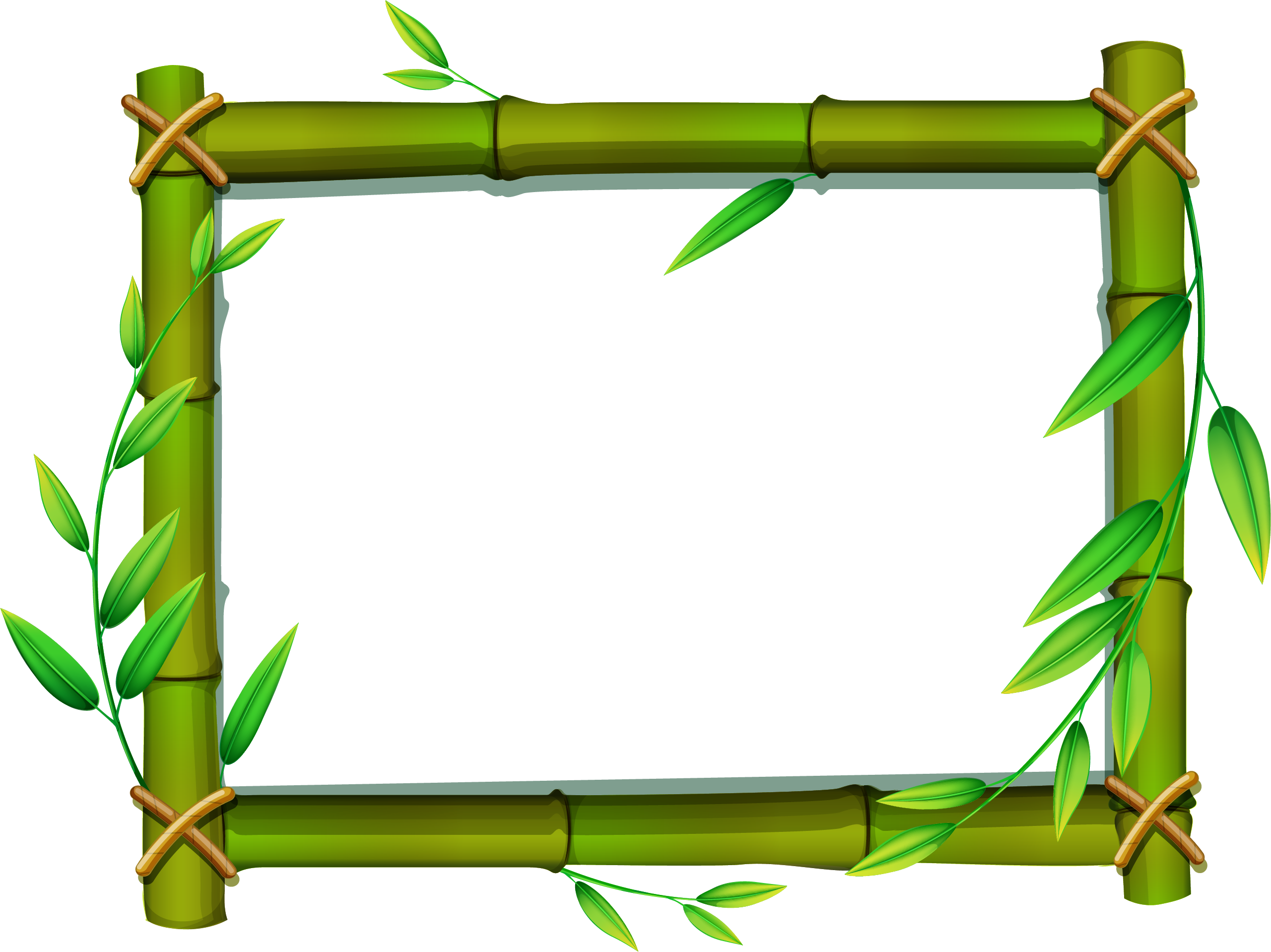Png Royalty Free Download Png Free Images Only Image Bamboo Leaf Png Clipart Transparent Png Large Size Png Image Pikpng