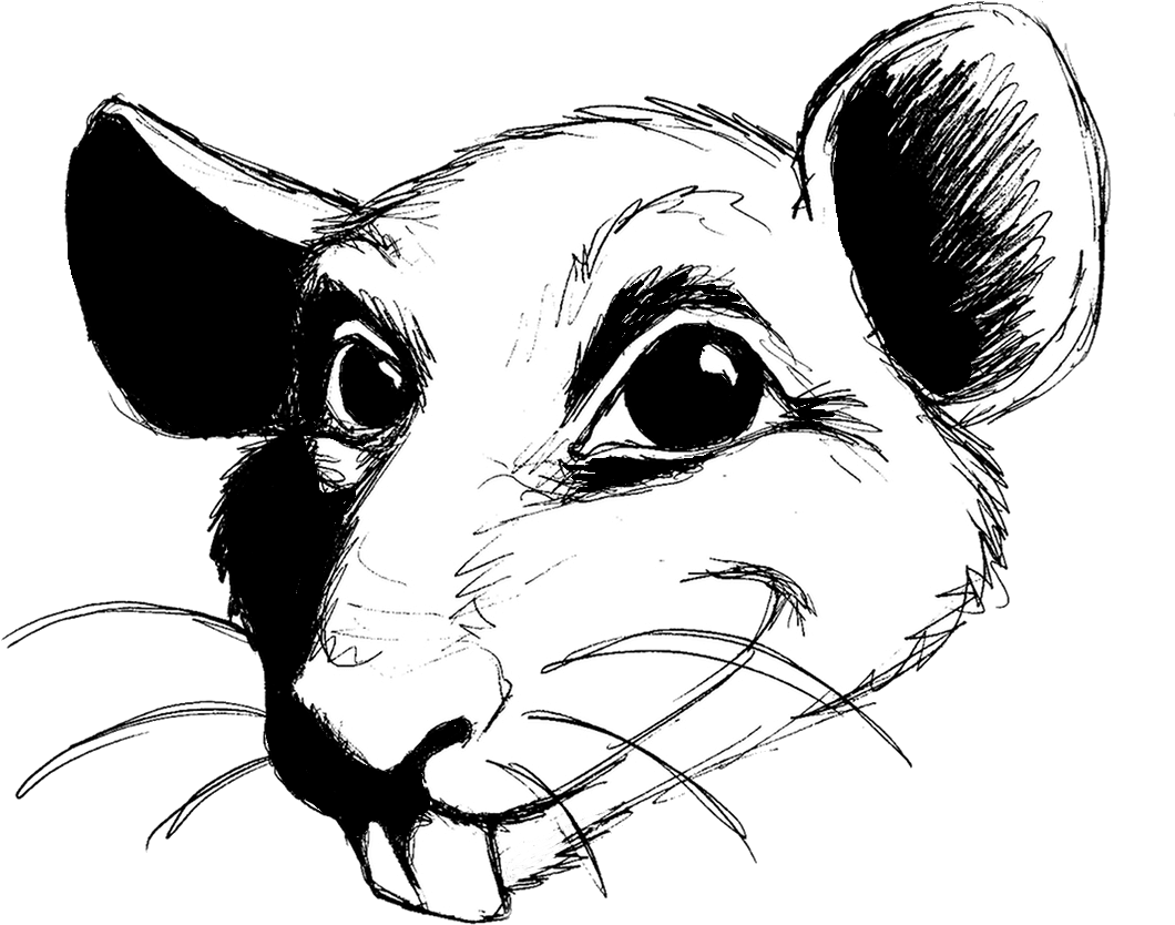 Drawn Rat Transparent - Rat Clipart (1118x865), Png Download