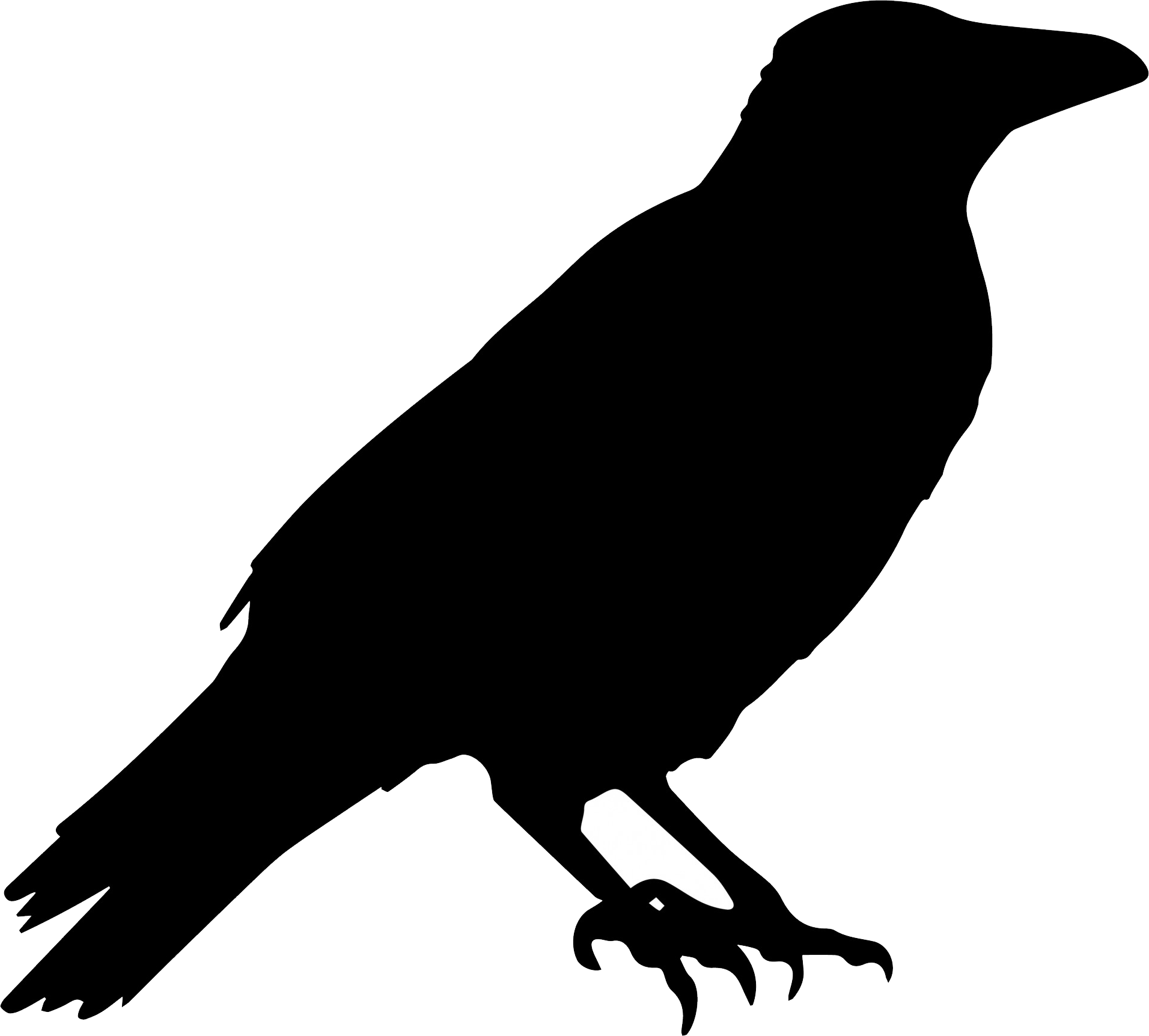 Crow Silhouette Clipart (1912x1723), Png Download