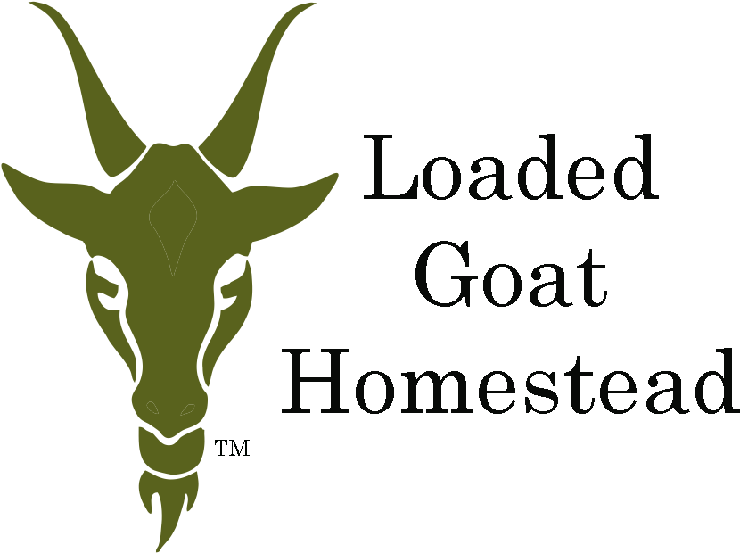 Antelope Clipart (939x632), Png Download