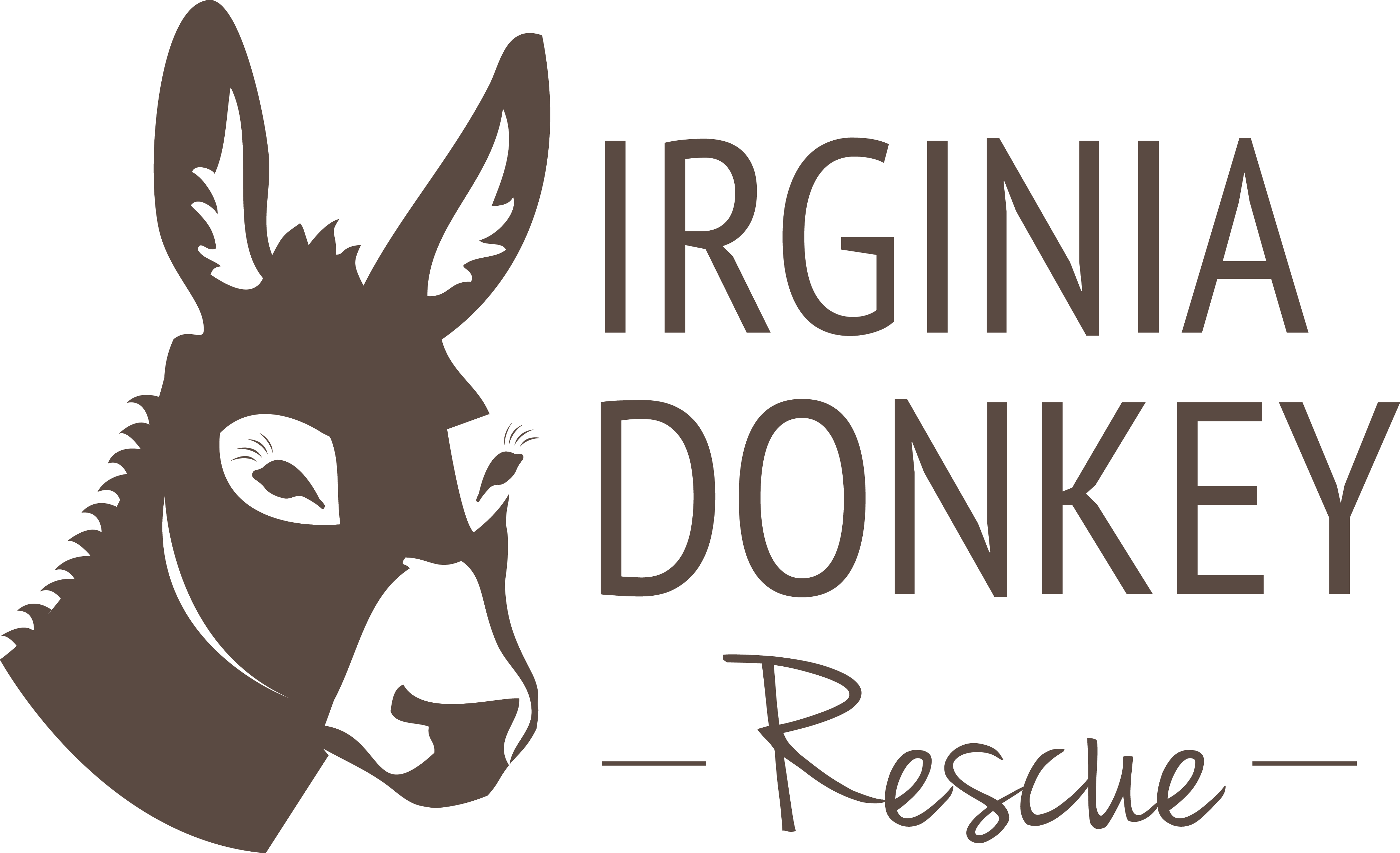 Donkey For Sale In Virginia Beach Clipart (4044x2463), Png Download