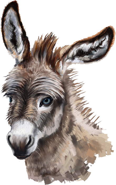 Home Page - Вэй Ин И Лань Чжань Clipart (441x704), Png Download