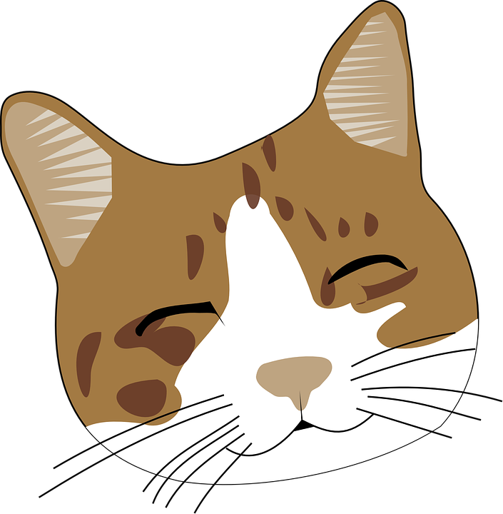 Cute Cat Face Png Clipart Large Size Png Image Pikpng