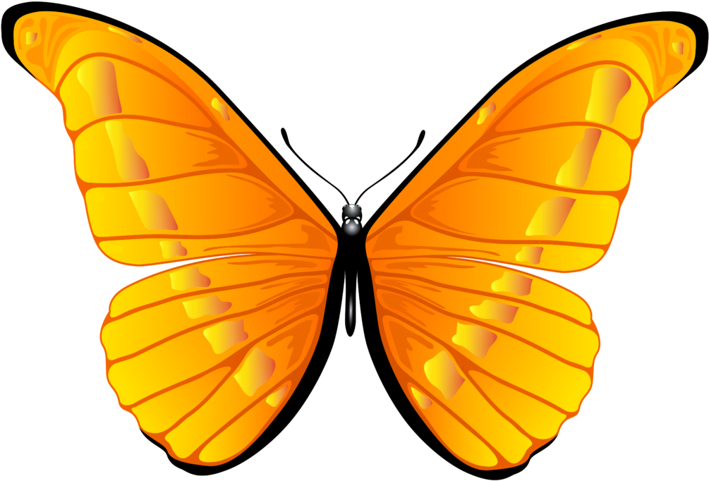 Orange Butterfly Png Clip Art Clipart 7000 4739 Bbq - Orange Butterfly Png Transparent Png (1024x693), Png Download