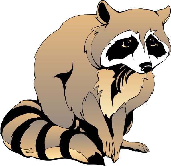 Raccoon Svg Clip Arts 600 X 584 Px - Png Download (600x584), Png Download