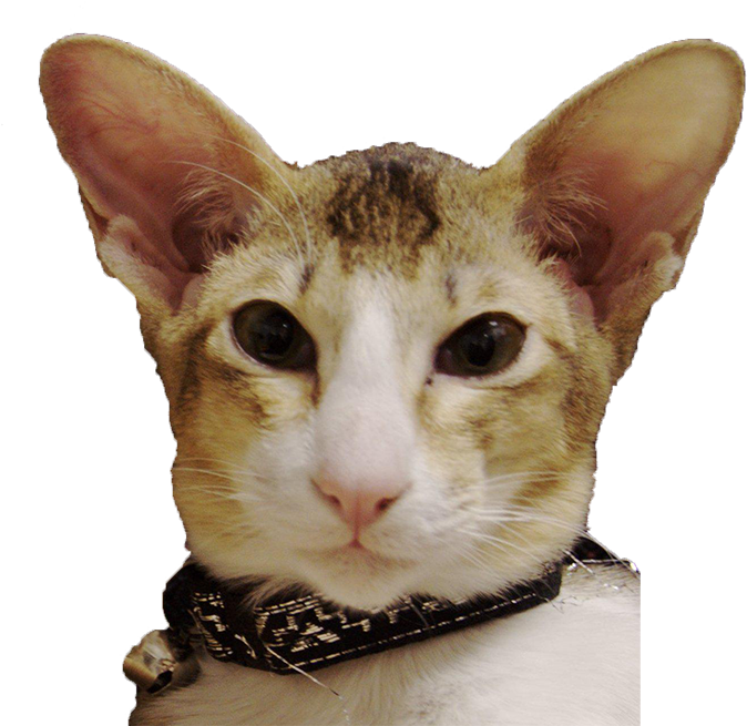 Asian Clipart (700x709), Png Download