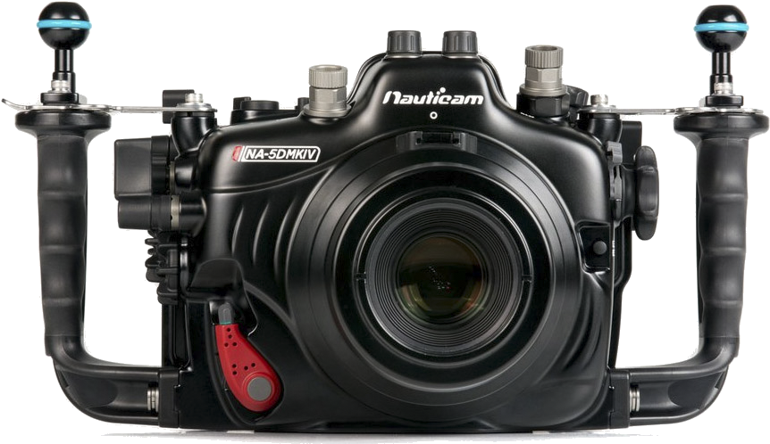 In Addition, The High Iso Performance In Low Light - Canon 5d Mark Iv Underwater Housing Clipart (885x537), Png Download