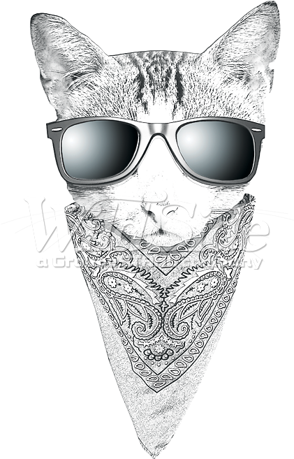 Cat Face With Sunglasses And Bandana - Cat With Bandana Png Clipart (675x675), Png Download