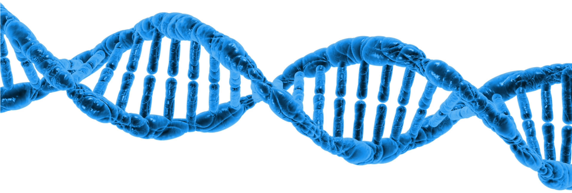Dna String Double Helix - Biotechnology Dna Clipart (1920x1080), Png Download