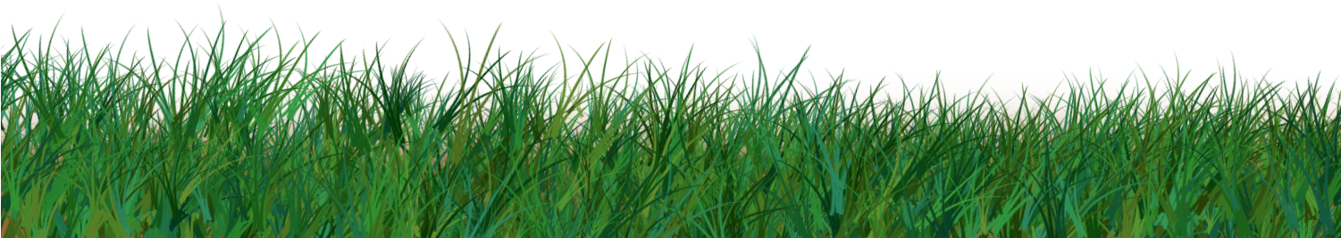 Ornamental Grass Png - ภาพ Png หญ้า Clipart (1500x600), Png Download