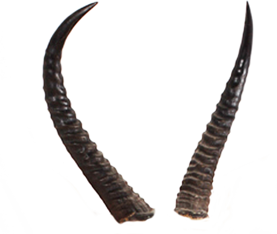 Devil Horns Png Clipart (973x821), Png Download