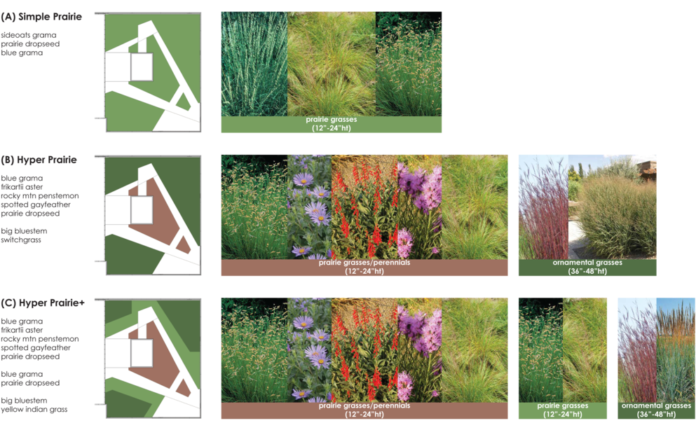 Roofdeckplanting Clipart (1000x613), Png Download