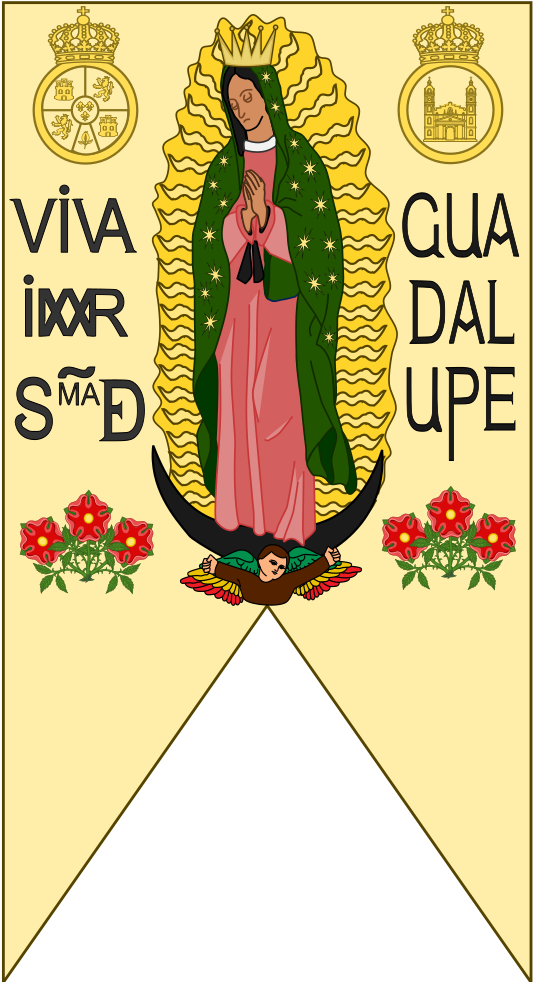 Banner Used By Miguel Hidalgo Y Costilla In - Simbolos Del Estandarte De Miguel Hidalgo Clipart (701x991), Png Download
