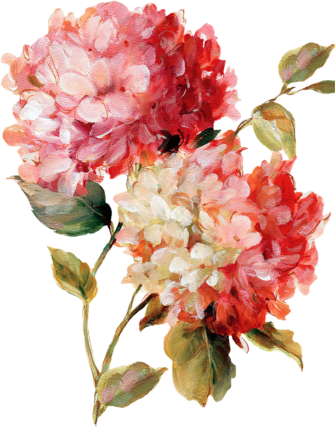 Pin By Theresa Maceyunas - Painting Flowers Clipart (1257x1600), Png Download