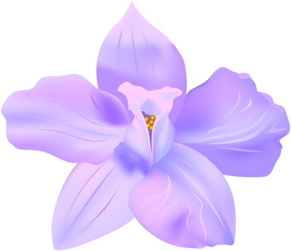 Violet Spring Flower Decorative Transparent Image - Lily Clipart (600x516), Png Download