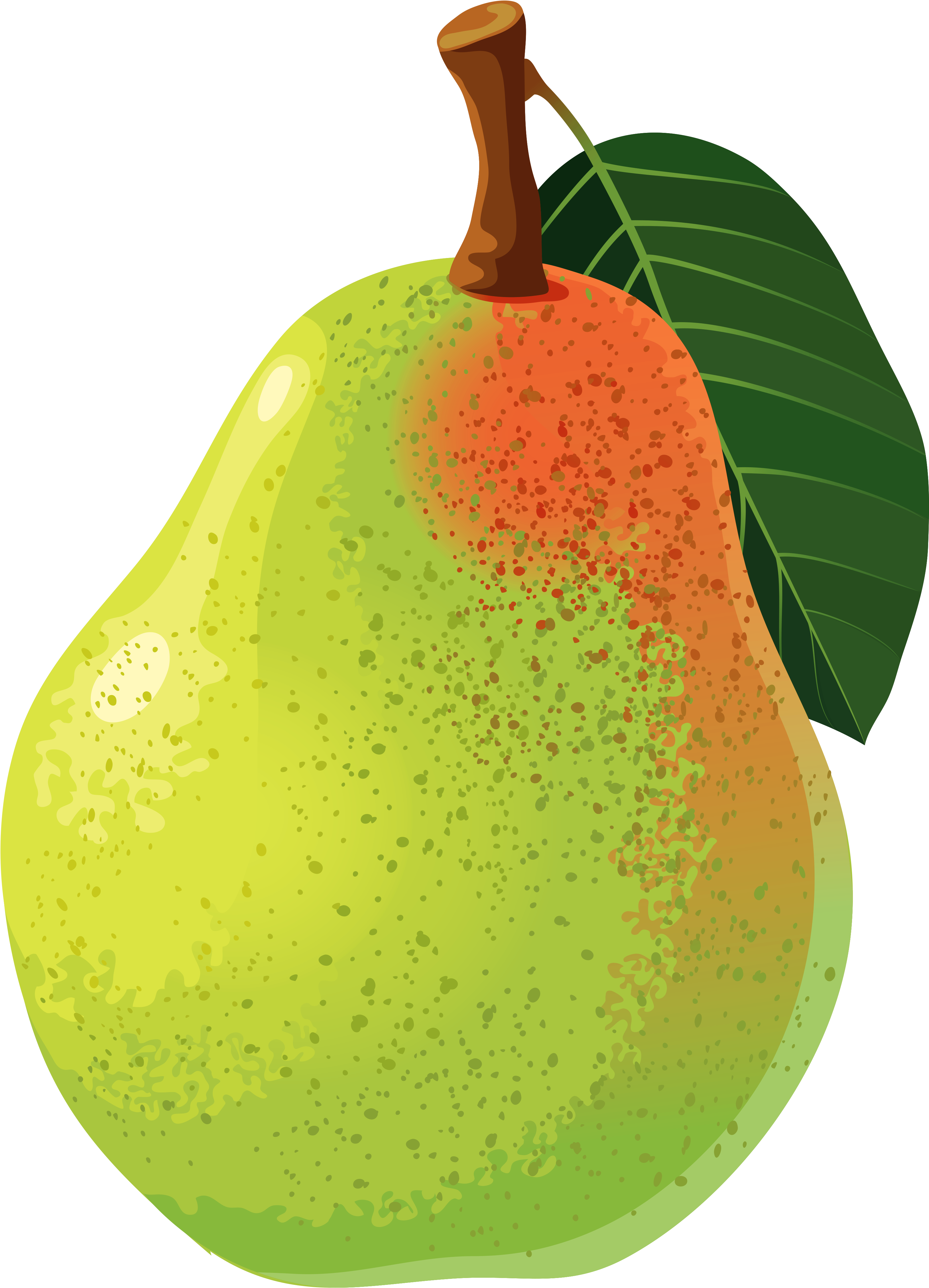 Pear Clipart - Png Download (3381x4695), Png Download