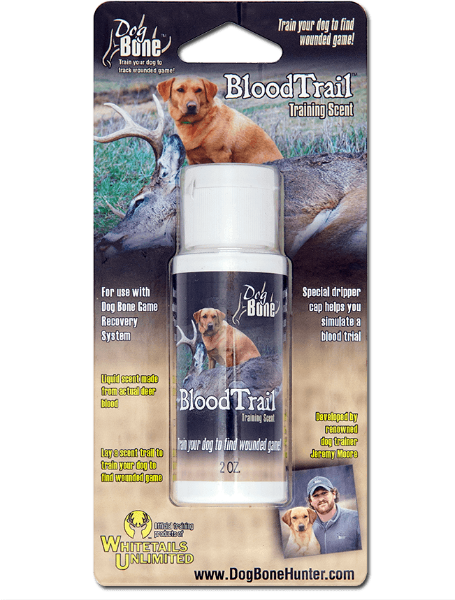 Flyer Clipart (650x873), Png Download