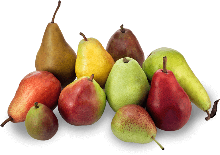 Adults Who Eat Pears Less Likely To Be Obese - Naka Pear Clipart (778x546), Png Download