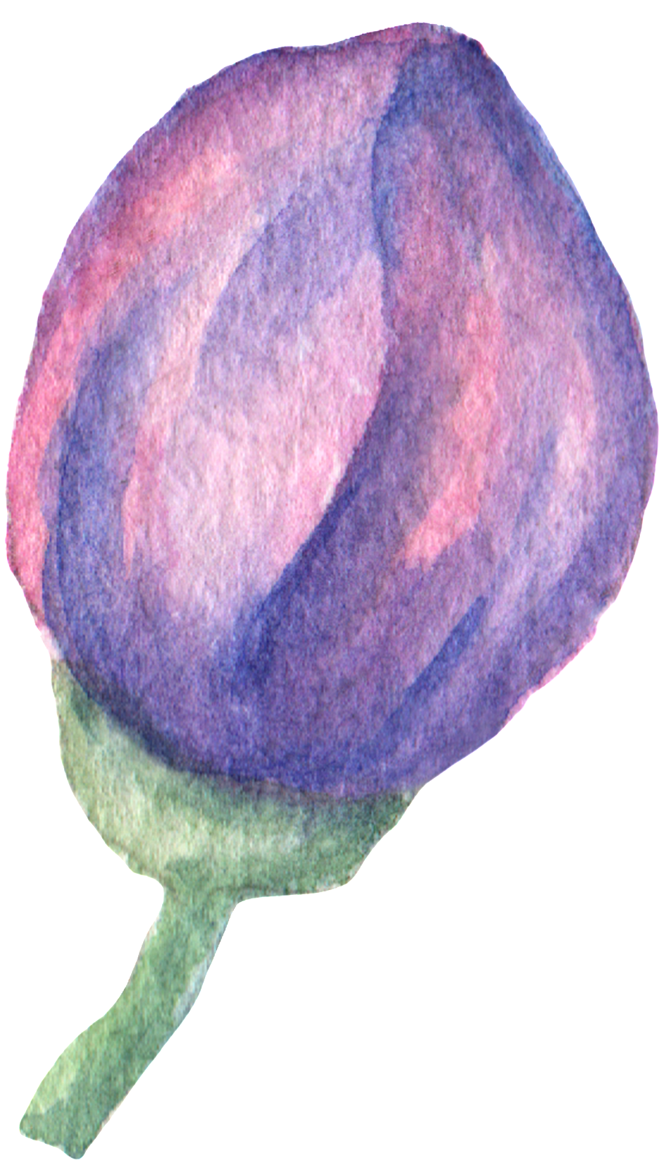 Hand Painted Purple Flowers Flowerbed Watercolor Transparent - Watercolor Paint Clipart (1024x1730), Png Download