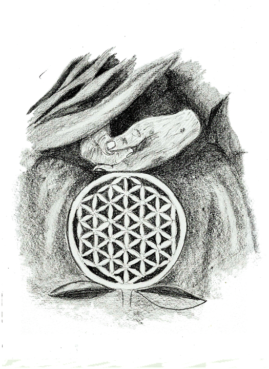 The Ancient Secret Of The Flower Of Life Volume 3 Is - Sketch Clipart (576x720), Png Download