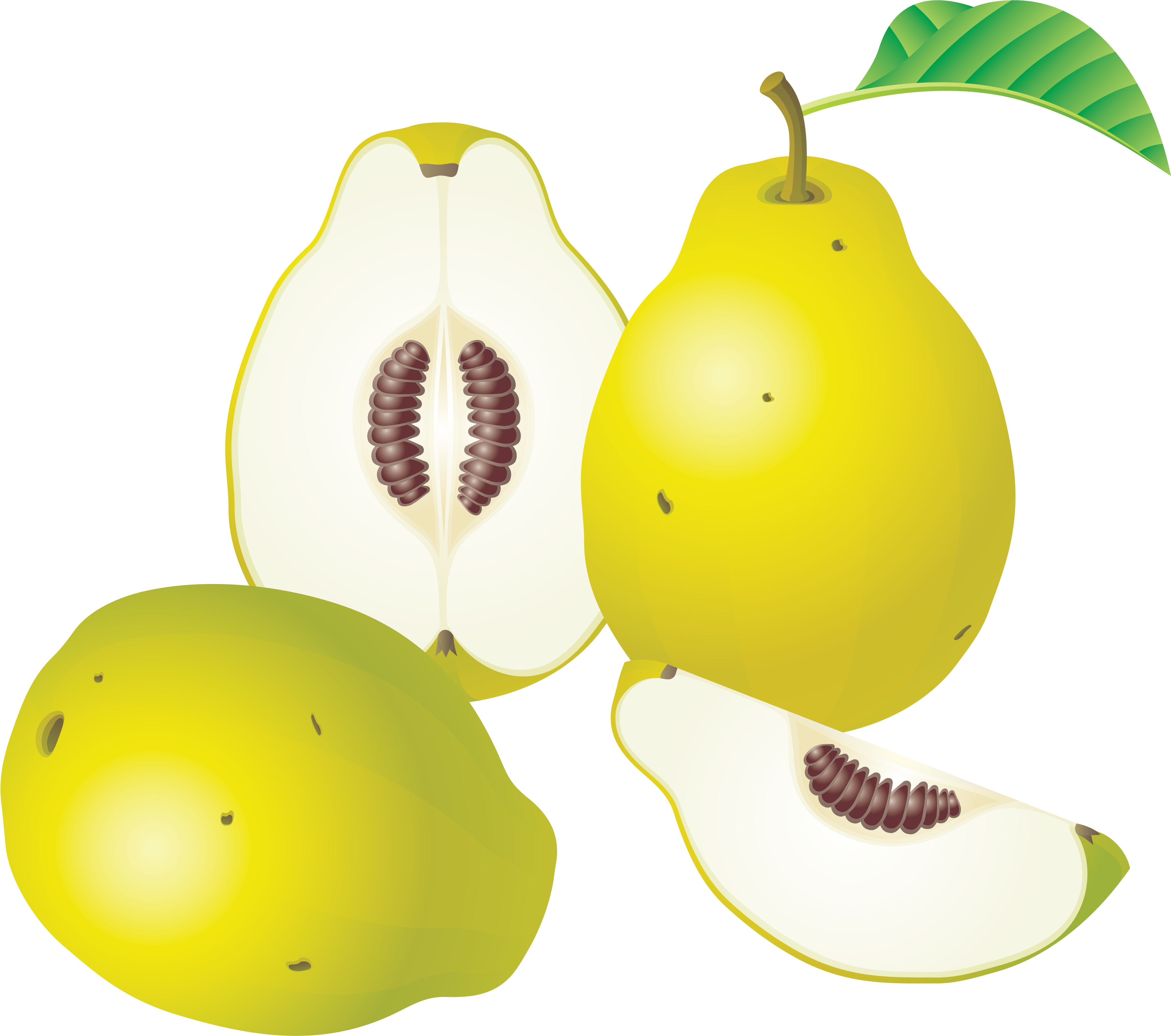 Fruit Clipart - Png Download (3582x3168), Png Download