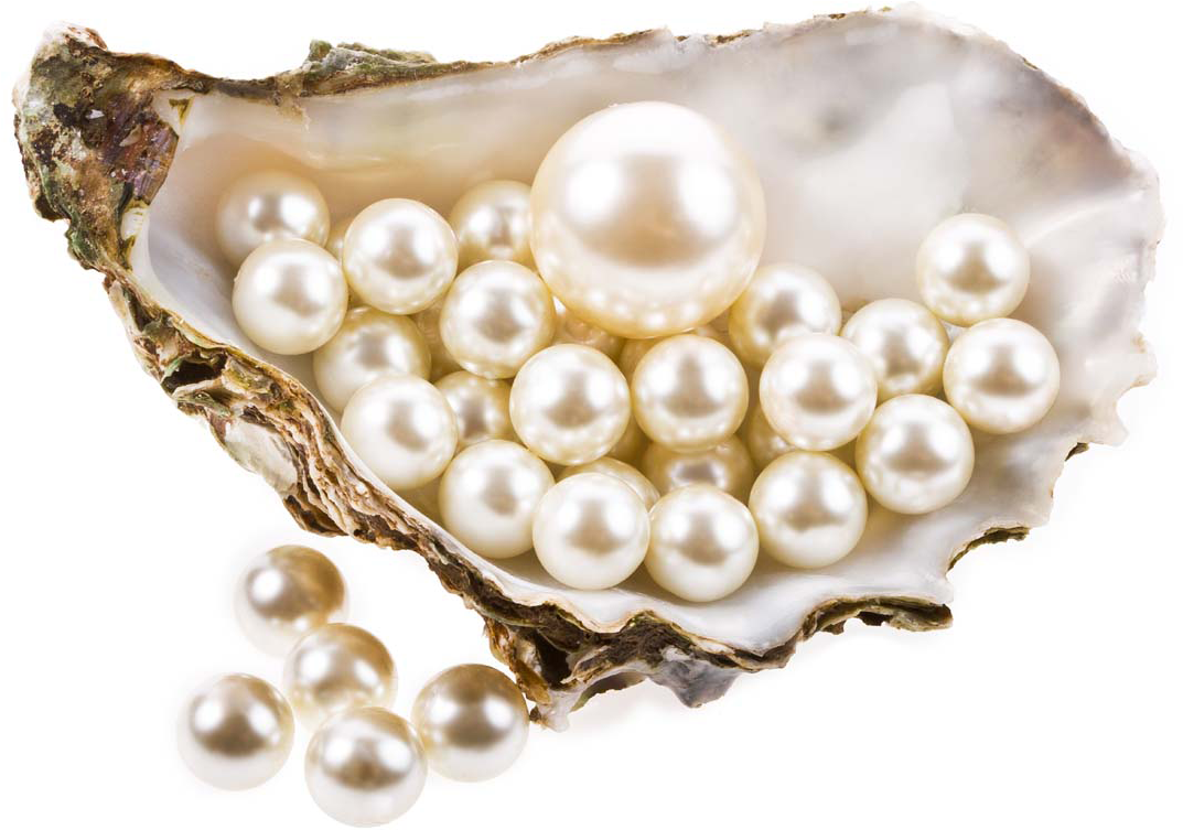Pearl Png Pic - Pearl Png Clipart (1100x1100), Png Download