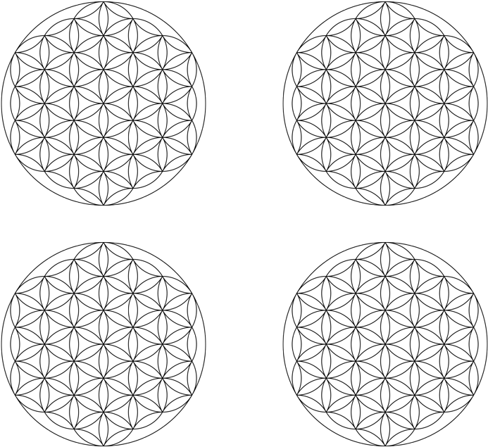 Circle Clipart (800x684), Png Download