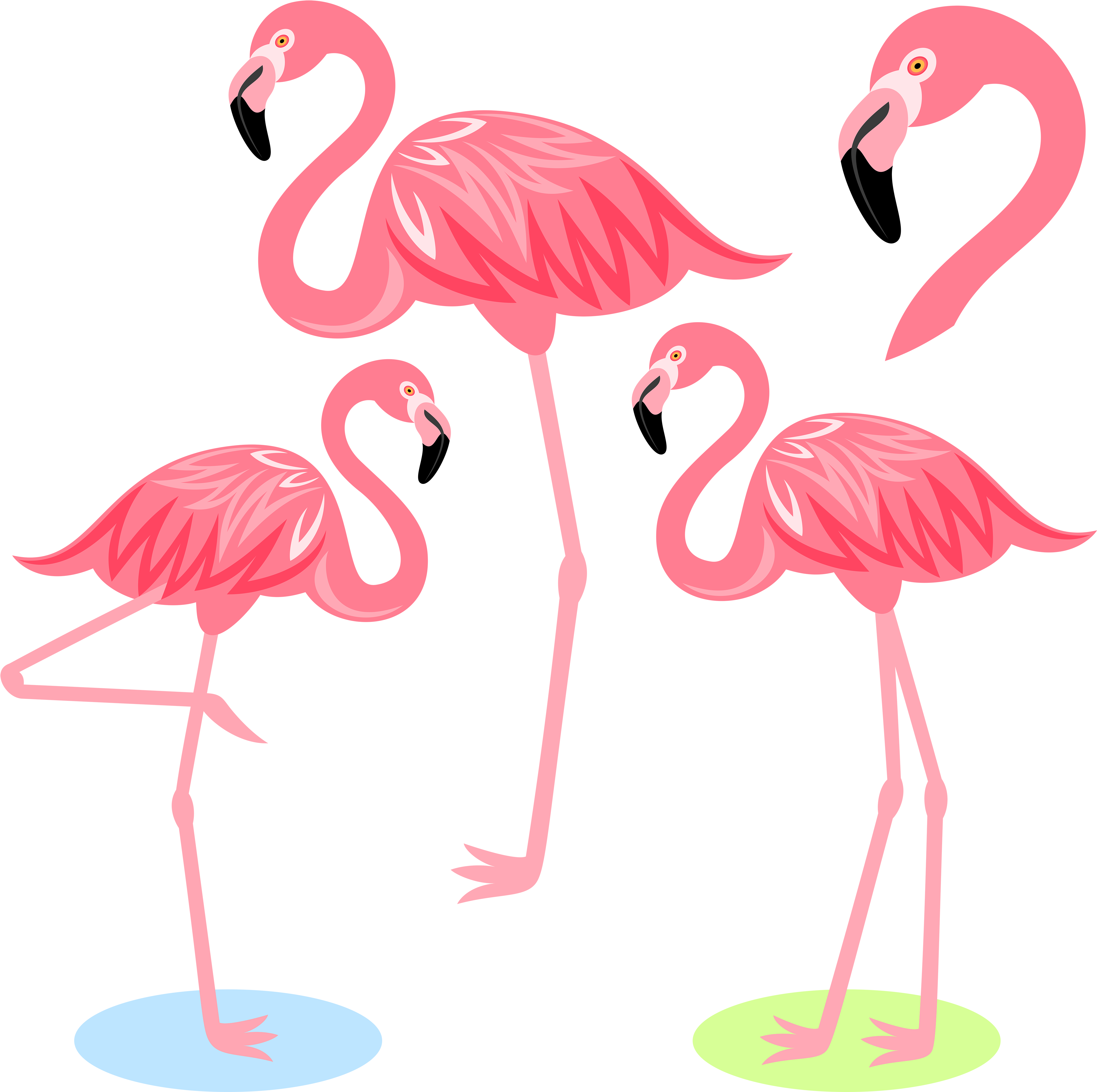 Flamingo Bird Illustration Cartoon Free Frame Clipart - Png Download (4574x4500), Png Download