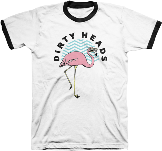 Cool Flamingo Ringer - Cursed Band T Shirt Clipart (600x600), Png Download