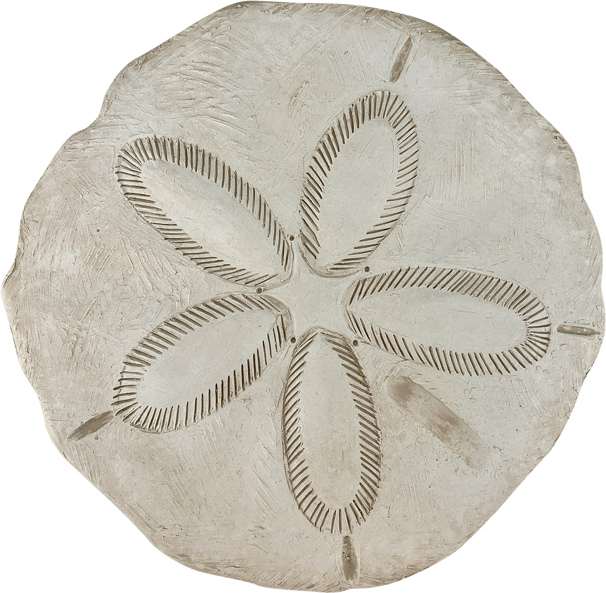 Us Know The Thrill Of Spotting A Little White, Round - Sand Dollar Clipart (1224x1200), Png Download
