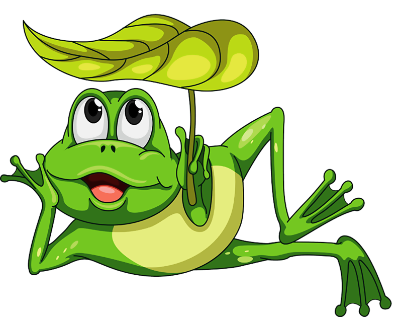 Svg Freeuse Download Leap Frog Clipart - Frogs Cartoon - Png Download (800x630), Png Download