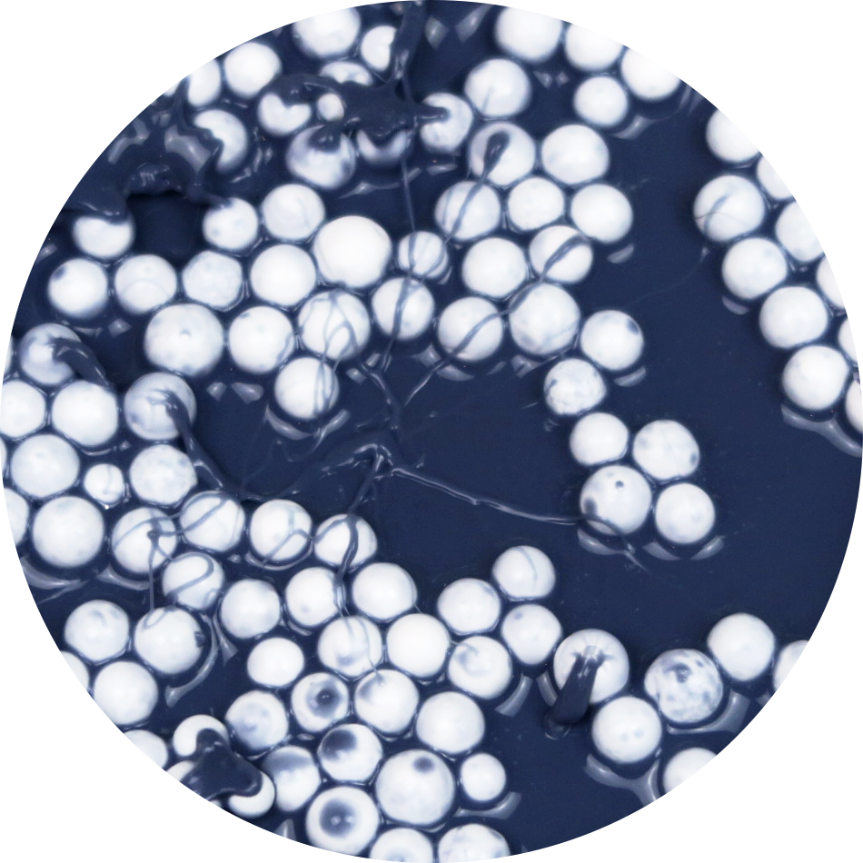 Circle Clipart (950x950), Png Download