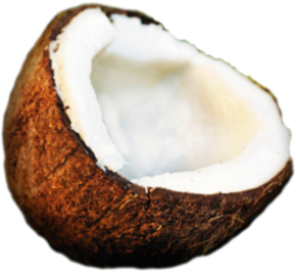 Small - Coconut Ico Clipart (600x600), Png Download