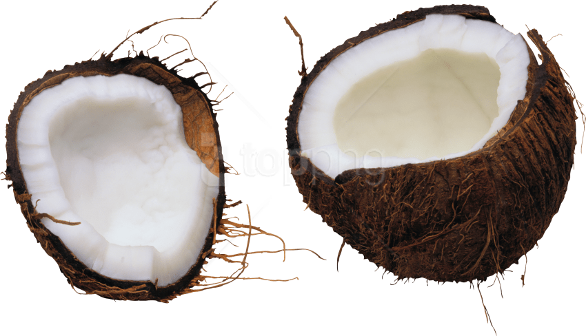Free Png Coconut Png Images Transparent - Free Background Coconut Picture Transparent Clipart (850x488), Png Download