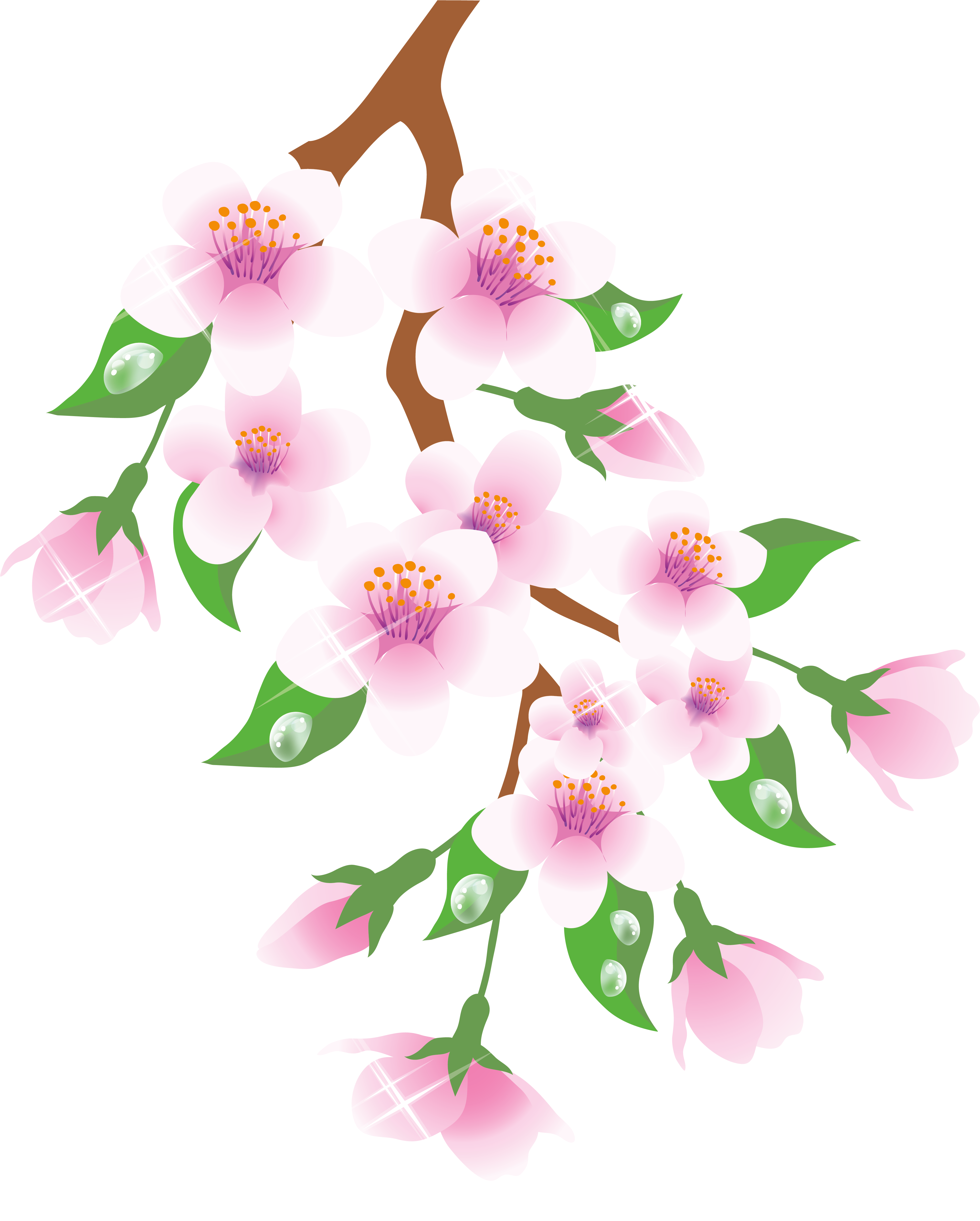 Setting Clipart Spring - Flower With Branches Png Transparent Png (4453x5245), Png Download